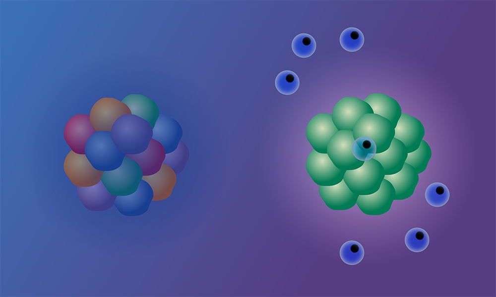 Immune cells targeting a tumour