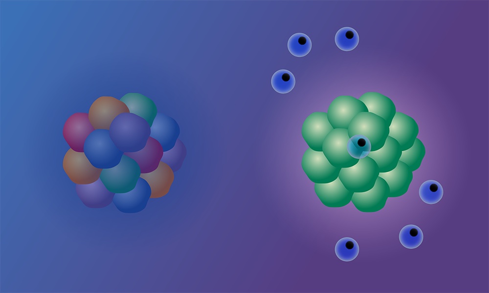 Immune cells targeting a tumour