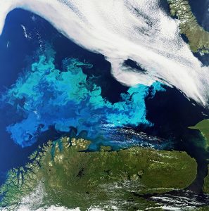 Satellite image showing a phytoplankton bloom off the coast of mainland Europe