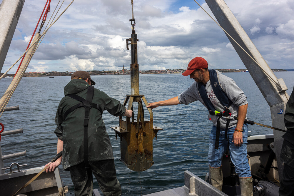 Two scientists collecting samples with the ocean in the background.