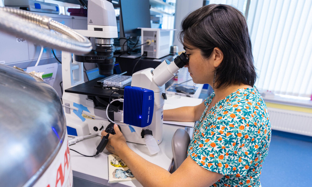 Female scientist looking into a microscope