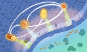 Pill icons representing different antibiotic classes are seen exerting their effects on a bacterium, whose cell wall, membrane, and protein synthesis machinery (two different classes) can be seen as potential targets. Curved lines connect the pills to each other, representing synergies in drug interactions. More bacteria can be seen in the background.