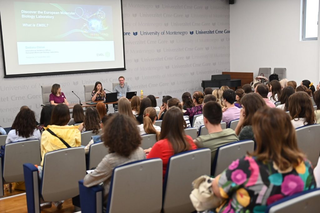 A group of people in a seminar hall listening to a panel discussion