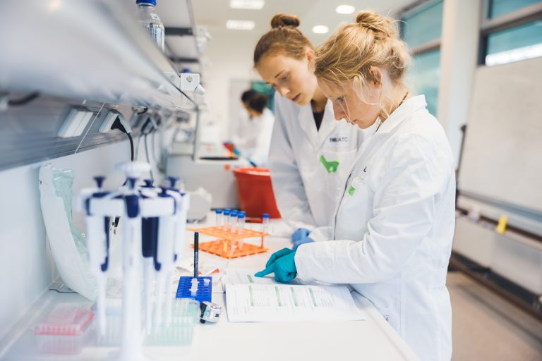 Understanding developmental plasticity in time and space | EMBL