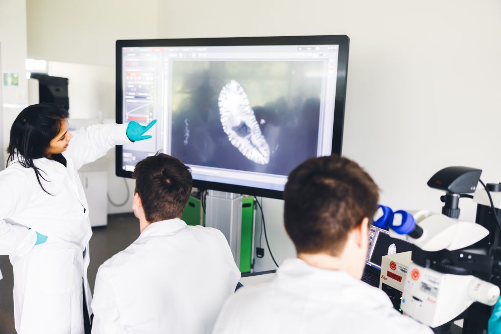 Three scientists looking at a screen, on which an image from a nearby microscope is displayed 