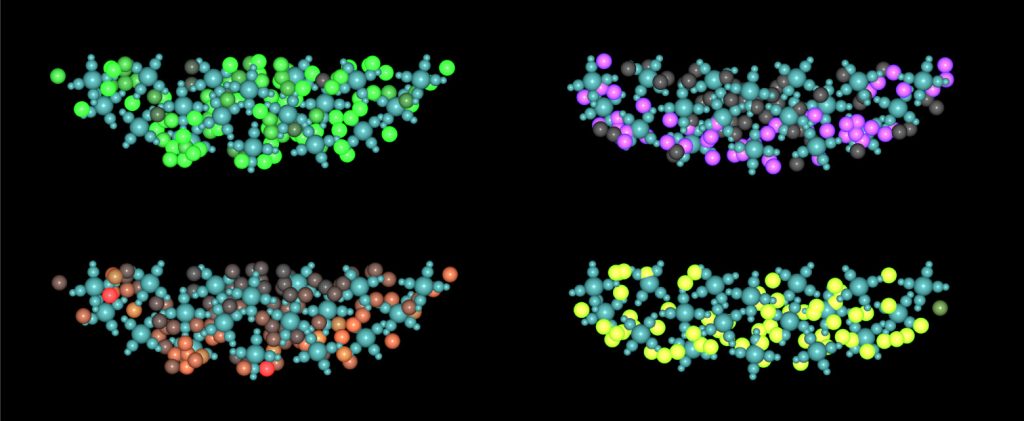 Computer generated models showing cells as overlapping circles, marked in various colours according to their types. 