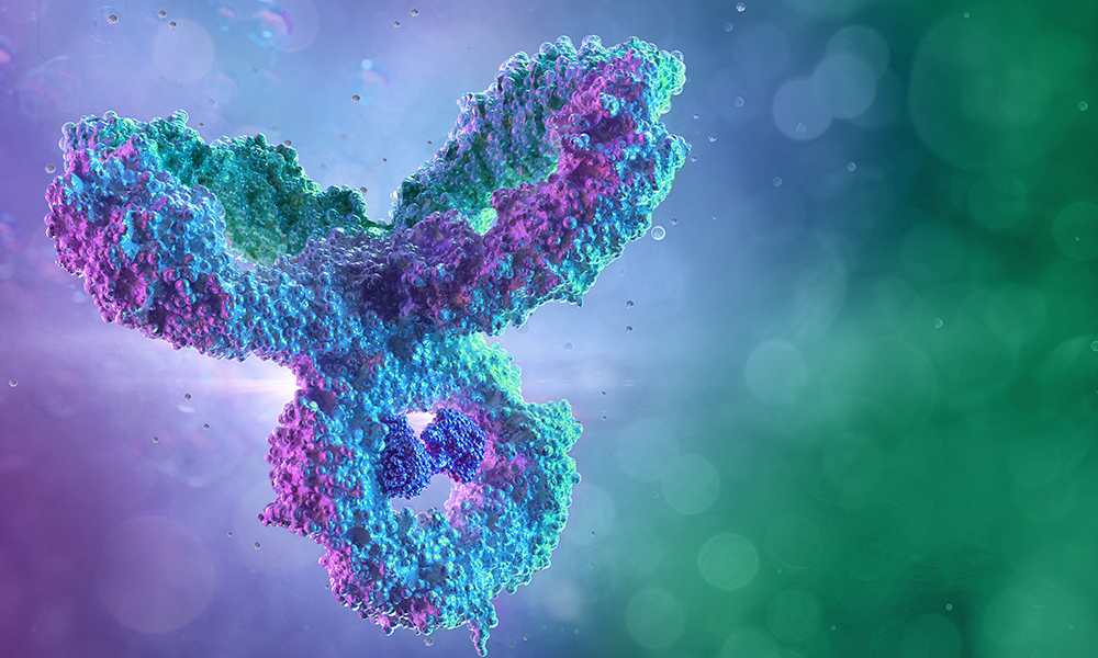 3D illustration of a Y-shaped molecule, purple and blue. This represents the antibody molecule.