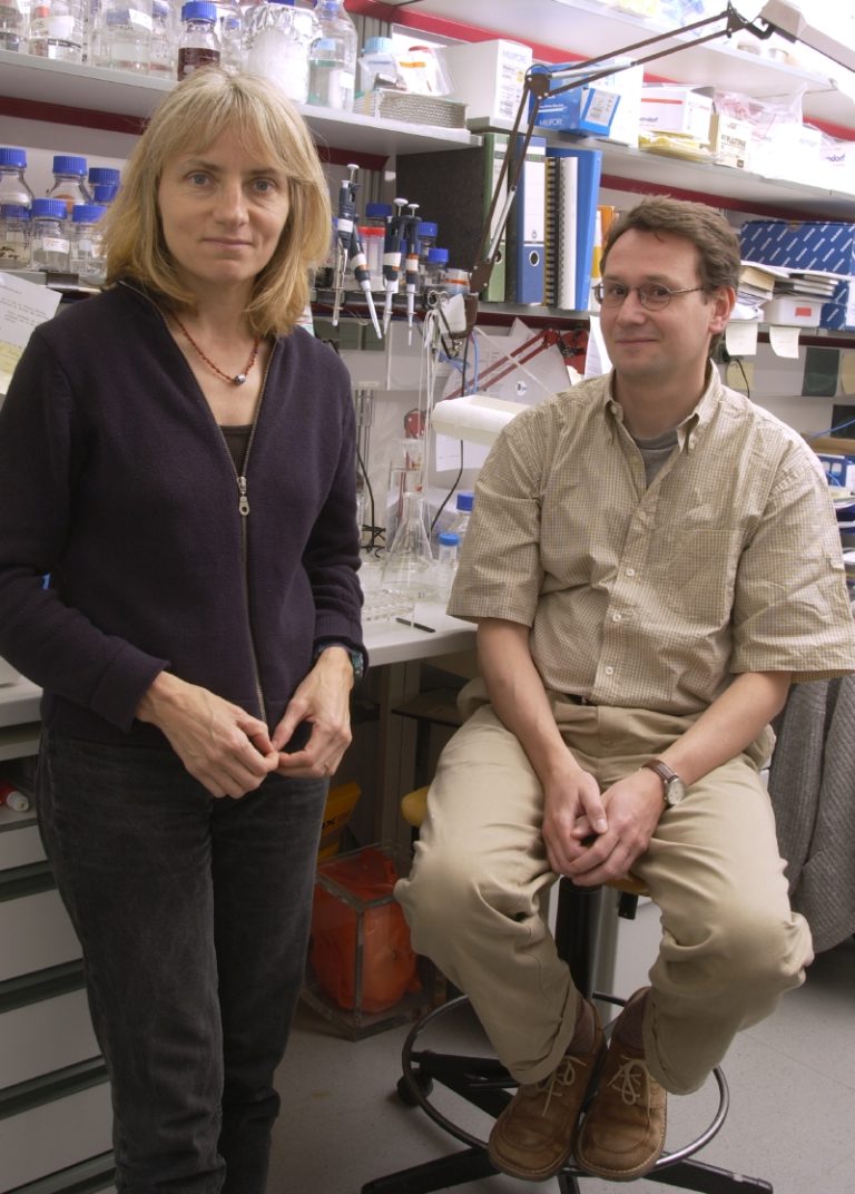 Anne Ephrussi: what I've learned | EMBL