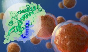 The background shows a render of a suspension of tumour cells, while an inset shows the structures of two proteins – MAGEA4 and RAD18 – marked in green and blue respectively
