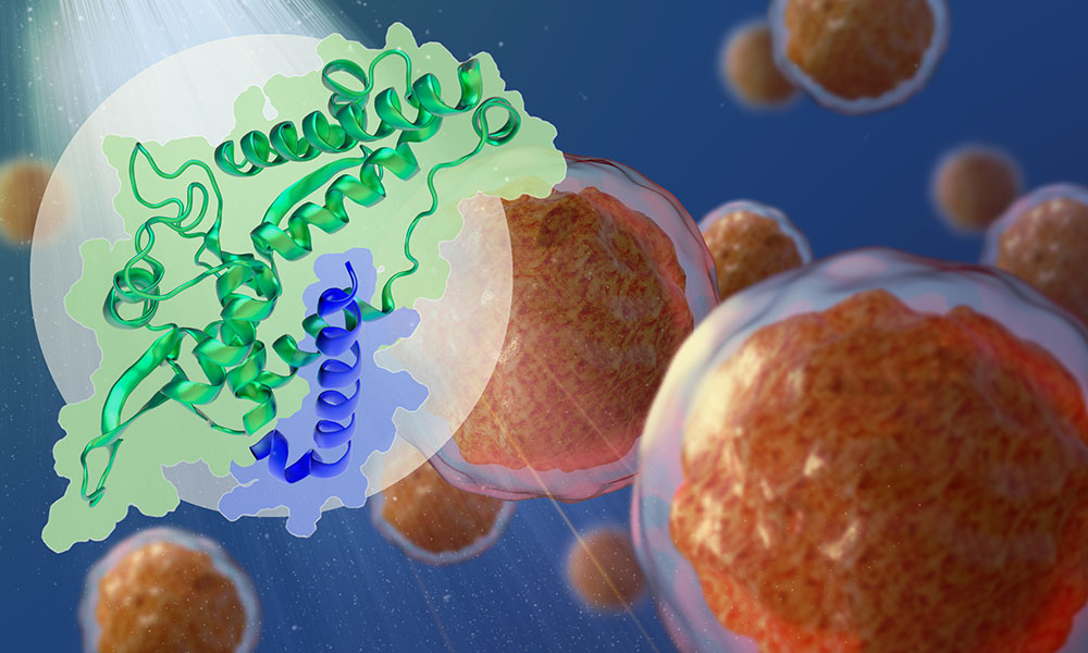 The background shows a render of a suspension of tumour cells, while an inset shows the structures of two proteins - MAGEA4 and RAD18 - marked in green and blue respectively
