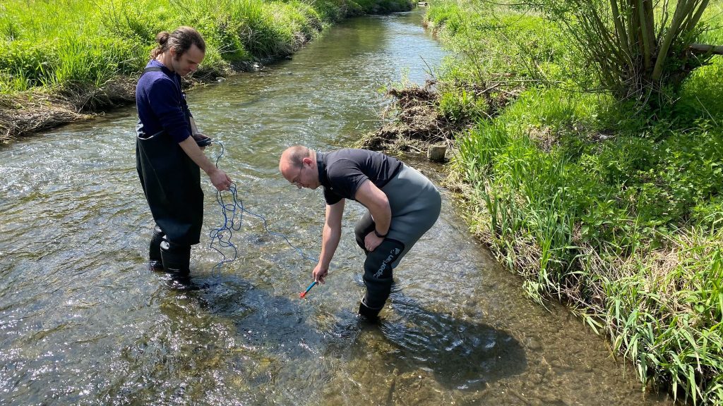 Two male scientists stand in a waterway collecting specimens.