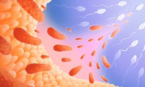 Alt Text: An artistic representation of gut microbes and sperm cells