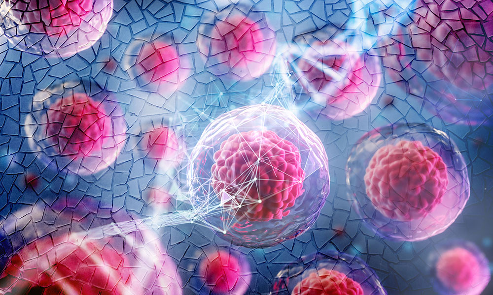 An illustration of cells in a mosaic context, demonstrating the idea of genetic mosaicism in blood stem cells.