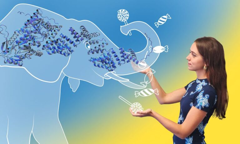Cute molecules and the scientists who adore them: Sofia Rucli | EMBL