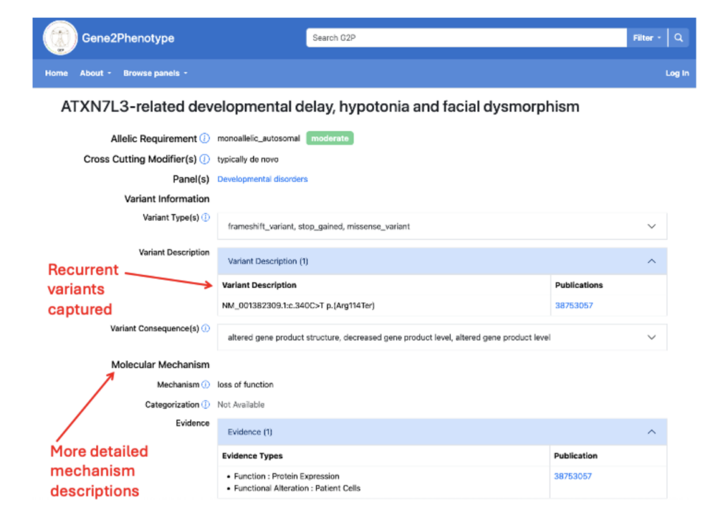Screenshot from the Gene2Phenotype website.