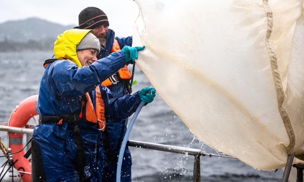 A man and woman adjusting sail on research boat