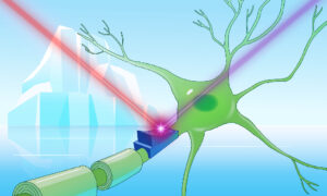 In the front, a neuron has a power switch on its surface. Two rays of light, one violet, the other one red, illuminate the switch. In the background, an iceberg floating at the sea is visible.