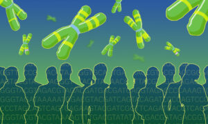 Illustration showing human chromosomes in the upper half, striped with bands representing structural variation. The lower half shows the silhouettes of people representing a population, with genetic codes (A, T, G, C) striped across them.