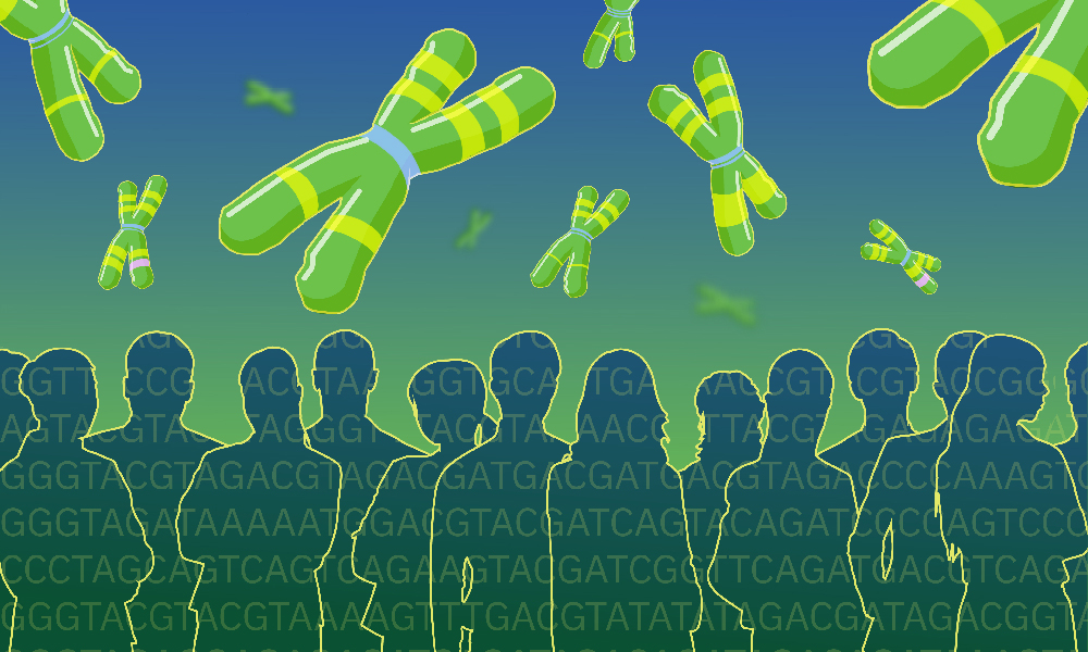 Illustration showing human chromosomes in the upper half, striped with bands representing structural variation. The lower half shows the silhouettes of people representing a population, with genetic codes (A, T, G, C) striped across them.