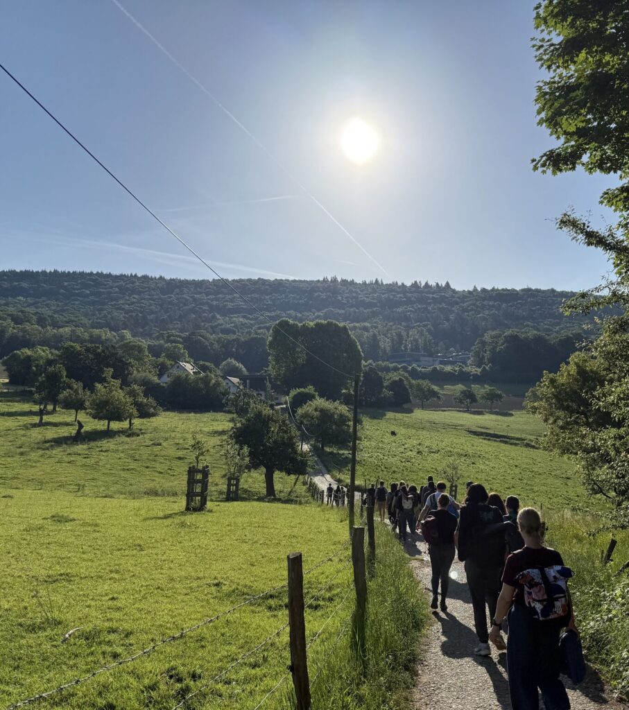 people hiking on a path through a pasture on a sunny day in Heidelberg