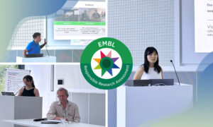 Collage of three images showing scientists at a podium, with a screen behind them