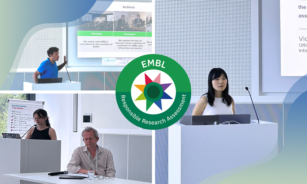 Collage of three images showing scientists at a podium, with a screen behind them