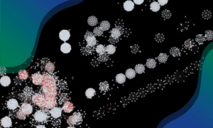 Network visualisation of plasmids and antimicrobial resistance.