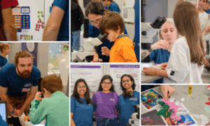 Collage of pictures taken during Parvis des Sciences 2025