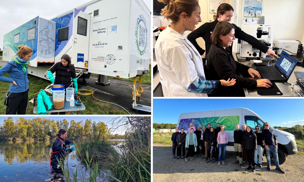 A collage showing TREC team activities in Fontainebleau. Image 1: Researchers filter freshwater samples in front of the Advanced Mobile Lab. Image 2: Three researchers examine samples inside the mobile laboratory. Image 3: A researcher steps out of the Episy marsh carrying a sediment sample used to study biodiversity and environmental pressures in the ecosystem. Image 4: The TREC and Advanced Mobile Lab teams pose in front of one of the TREC fleet trucks.