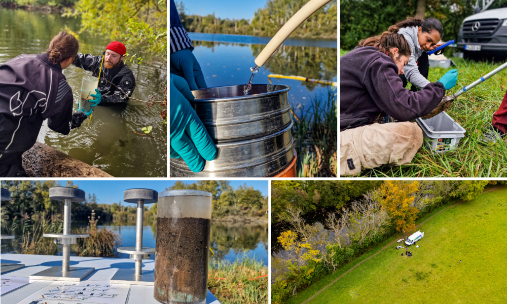 Photocollage of the different activities done during the TREC expedition in Fontainebleau (Ile-de-France).