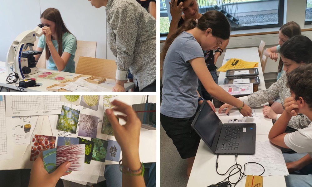 Collage of three images. One shows a young woman looking into a microscope while someone leans on the table. One shows four participants at a table with a laptop and some pieces of paper. One shows some cards with microscopy images on them and a pair of hands.