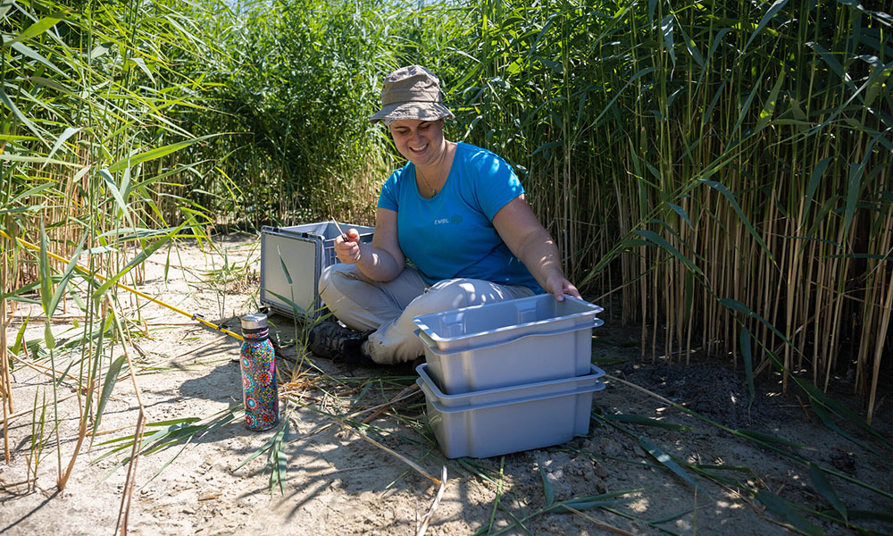 female scientist in the midst of a grove of bamboo