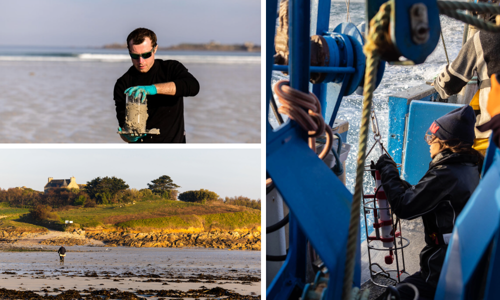 Collage of three pictures showing the tREC team in Roscoff, France. The first image shows a man holding a sampling jar. The second photo shows the Roscoff coast and beach. The third photo shows a predoctoral fellow in a boat collecting samples. 