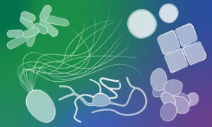 variety of archaea illustrations on a blue, green, and purple background