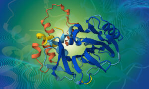 AlphaFold prediction of banna virus spike protein V9