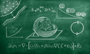 Illustration showing a chalkboard, with the sketch of a cell laid open, with NPCs visible. There is an equation below the cell, a close up of NPCs on the left, and some charts and graphs scattered throughout.