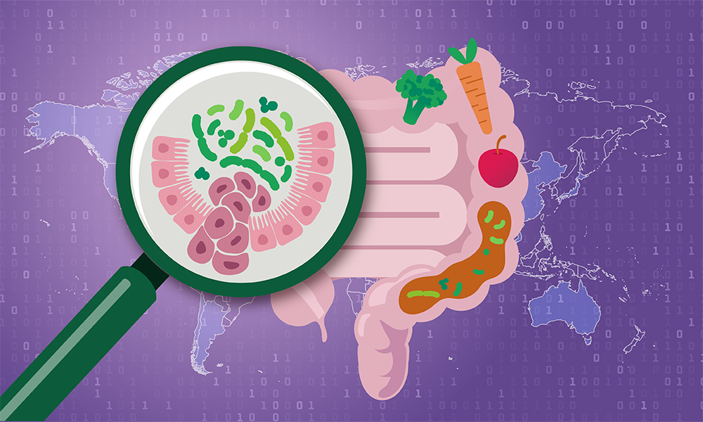visual graphic of a human gut, incorporating dietary intake and a visualisation of a microbiome signature.