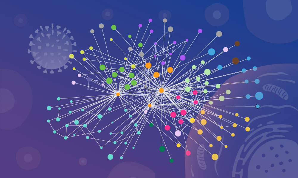 Illustration of a network graph representing interactions between influenza virus components and host cell proteins. Hundreds of coloured circles (nodes) of varying sizes are connected by thin white lines, forming several densely interconnected clusters radiating from a central hub.