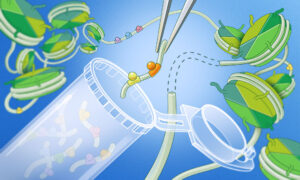 Illustration of a synthetic biology experiment showing researchers using tweezers to insert a small DNA enhancer sequence into a DNA construct. Tubes contain many different DNA fragments, while stylized chromatin structures surround the scene, representing testing hundreds of regulatory sequences in different genomic contexts.