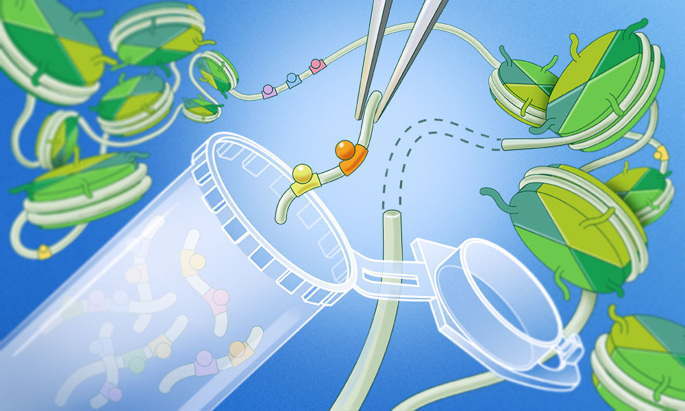 Illustration of a synthetic biology experiment showing researchers using tweezers to insert a small DNA enhancer sequence into a DNA construct. Tubes contain many different DNA fragments, while stylized chromatin structures surround the scene, representing testing hundreds of regulatory sequences in different genomic contexts.