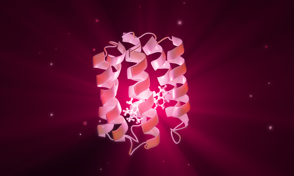 Three dimensional rendering of a NovoTag, a de novo designed protein, shown as a ribbon structure encasing a bound Janelia Fluor dye molecule at its core.