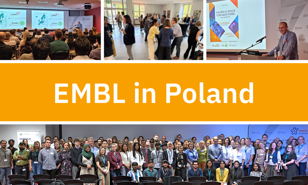 Collage of images from the event, including a group photo of the participants, pictures from the talks and networking sessions. The banner in the middle says “EMBL in Poland.”