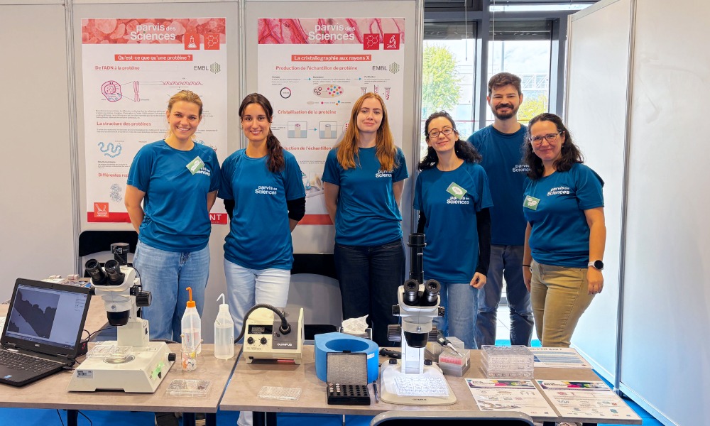 Volunteers standing behind a stand displaying two microscopes, crystal samples, rock candy lollipops, and a computer screen showing magnified samples of a cheese rind.